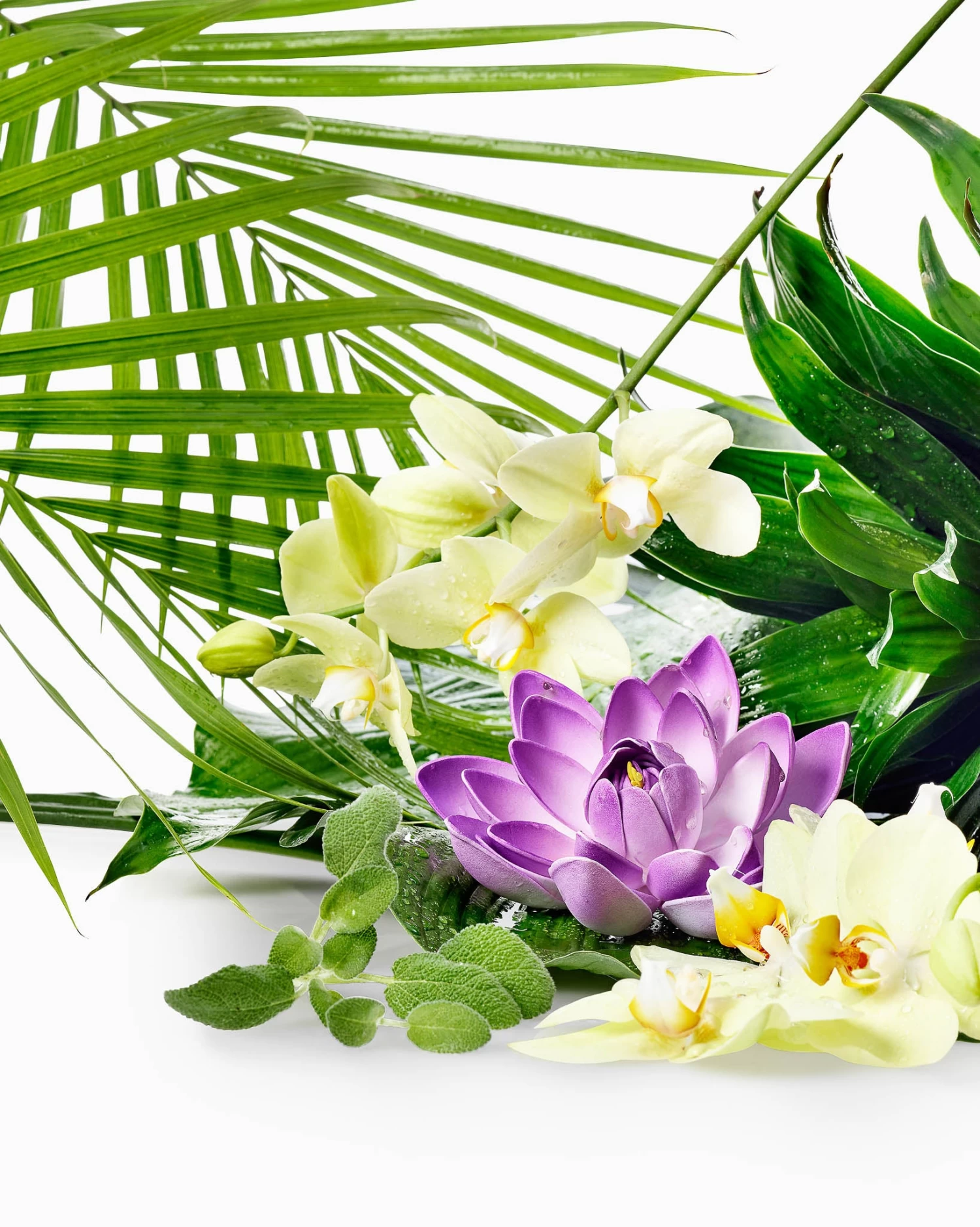 Caribbean Rain 2-Wick Candle 6 Caribbean Rain 2-Wick Candle - Image 4