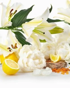 Fresh Linen 2-Wick Candle -Urban Chic Shop Crazy Strong 06 02.03.04 2020 PDP Lush FreshLinen 03