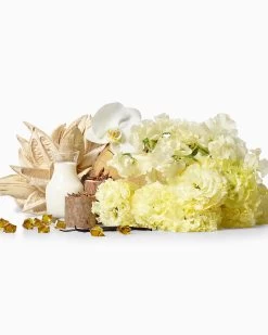 Santal Gorgeous 2-Wick Candle -Urban Chic Shop Crazy Strong SG 4